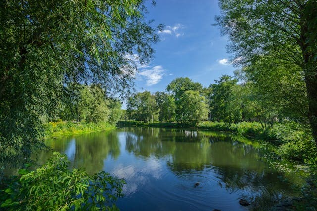 Fylgja, åndeverdenens hjelpeånder