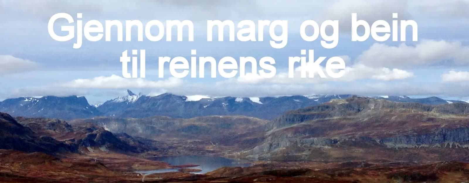 Gjennom Marg Og Bein Til Reinens Rike