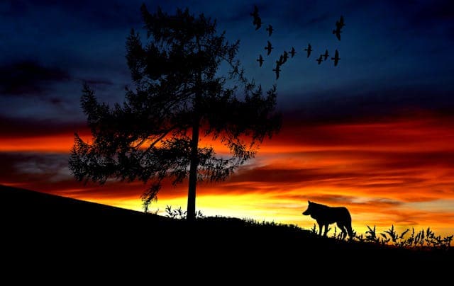 Horoskop for Januar
