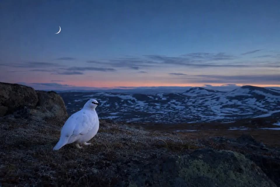 Nymåne seremoni i Nittedal