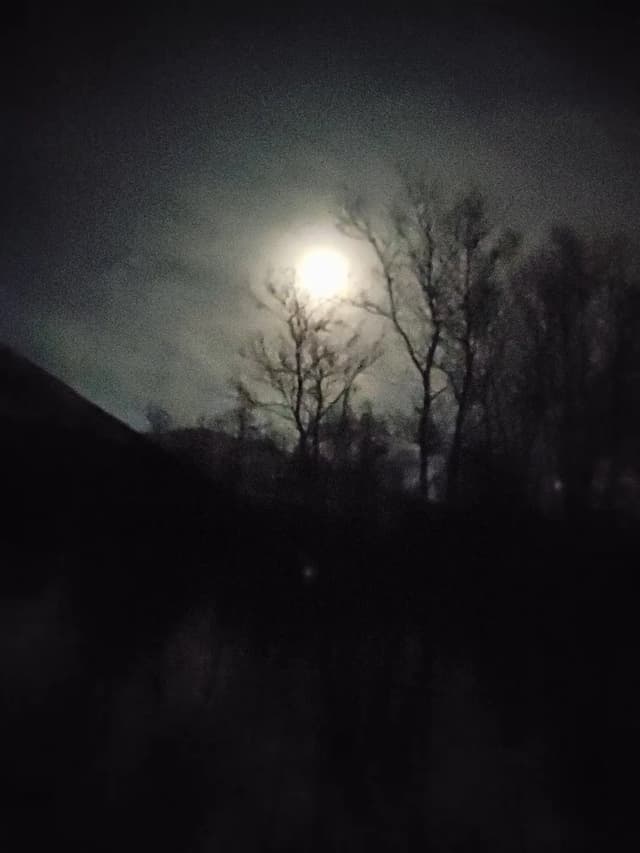 Om Samisk Navneseremoni