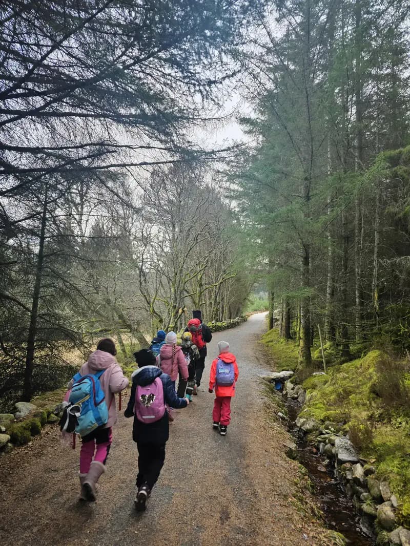 Tur i skogen ein vinterdag