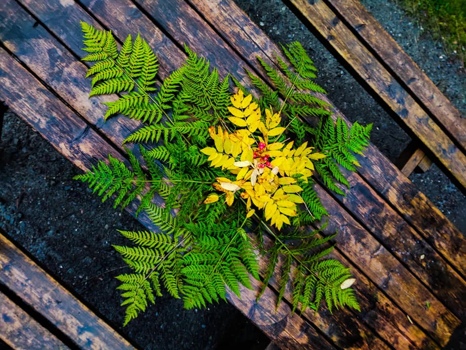 Image 2 from Autumn Equinox