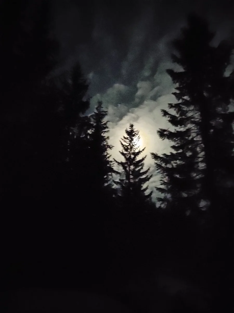 Image 1 from Start of the Day Ritual