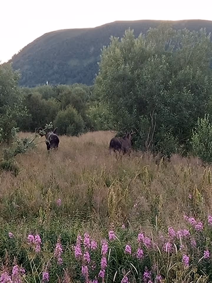 Fullmåneseremoni i Troms