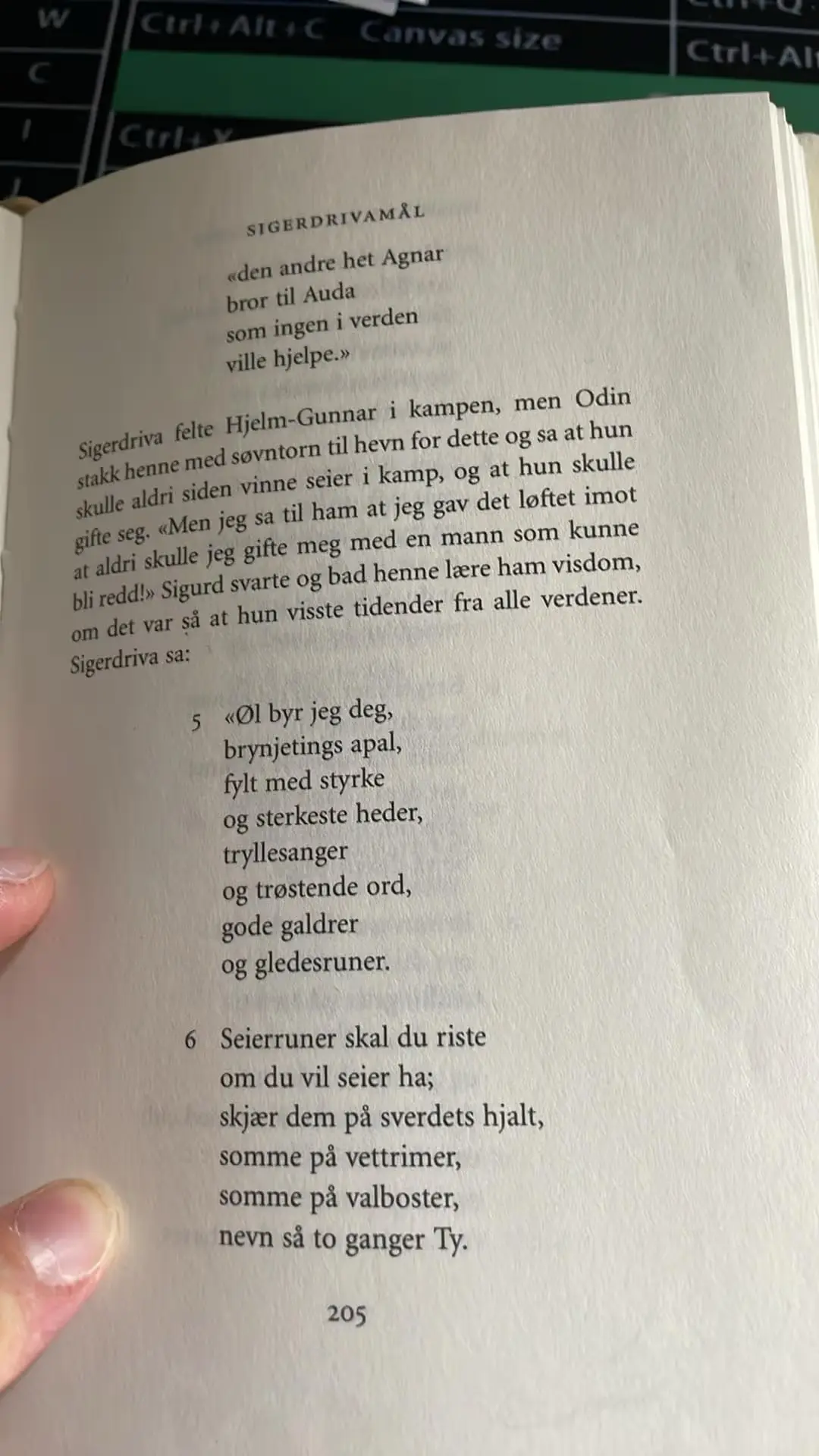 Bilde 1 fra Sigdrivamål