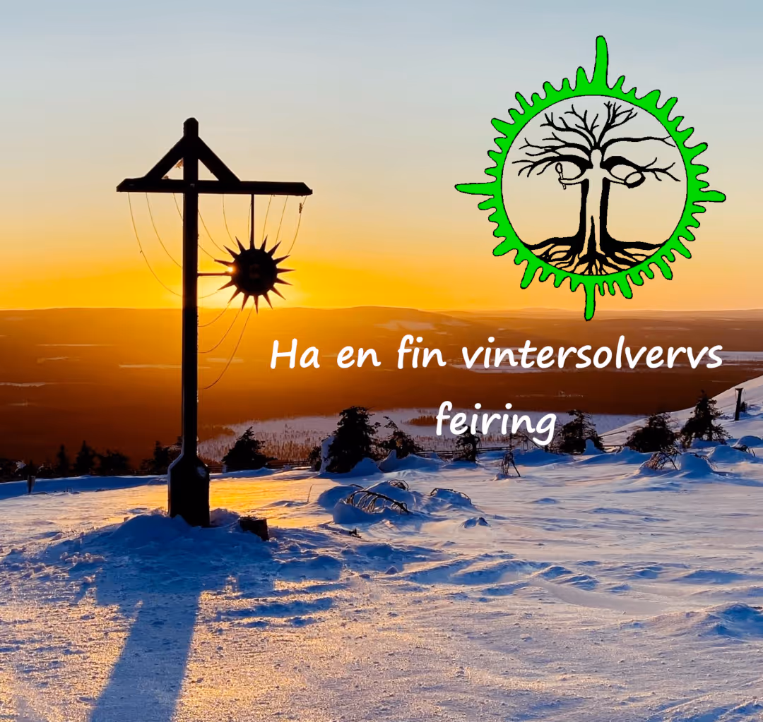 Sjamanistisk vintersolverv