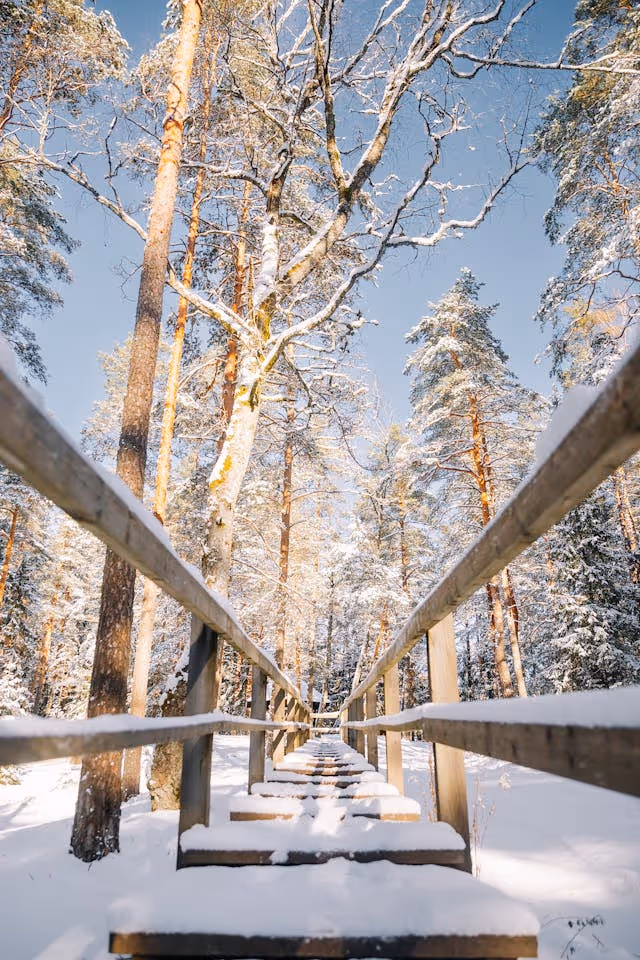 Å gjenoppdage naturens magi, en nybegynner guide til naturens magiske aspekt