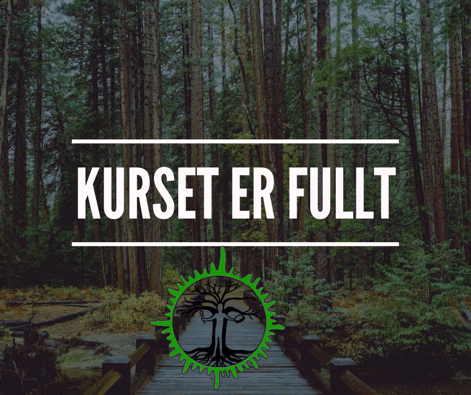 Dypere Forbindelse til elementene i Bergen