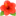 🌺