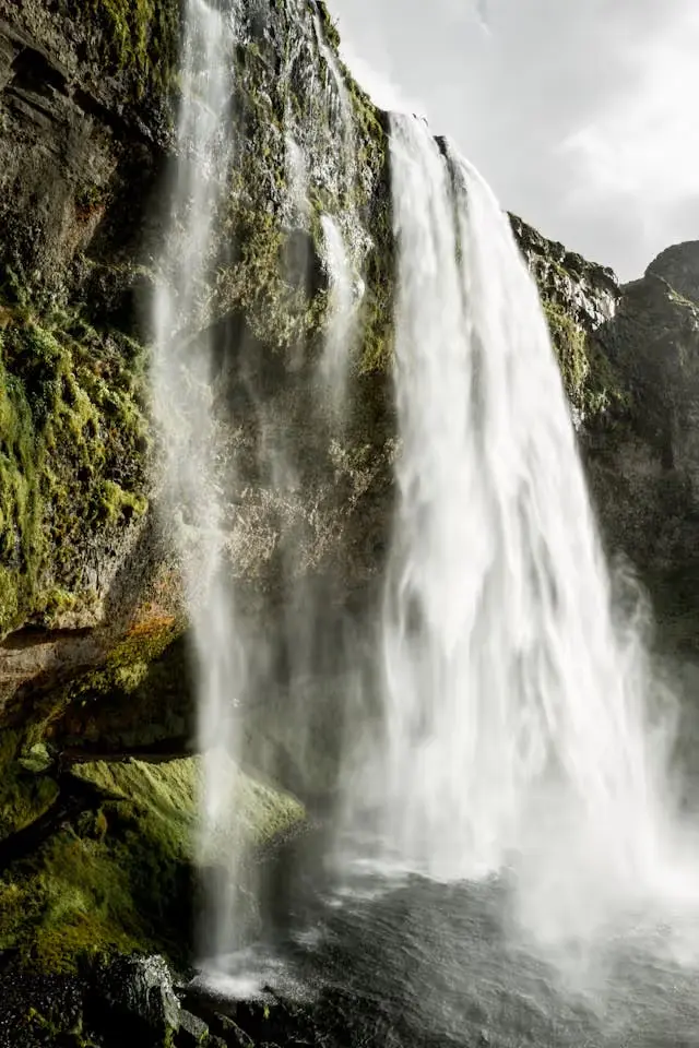 Bilde 2 fra Å gjenoppdage naturens magi, en nybegynner guide til naturens magiske aspekt