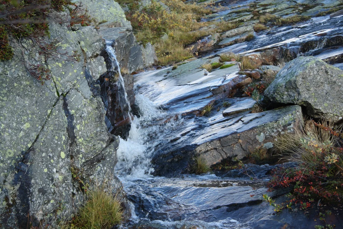 Image 3 from Out into Nature - Into Nature